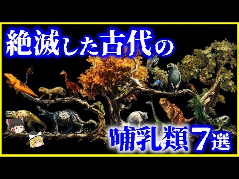 チベットの哺乳類のリストについて詳しく解説