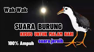 Download lagu SUARA PIKAT RUAK RUAK MALAM || SUARA TUNGGAL JERNIH || AMPUH mp3