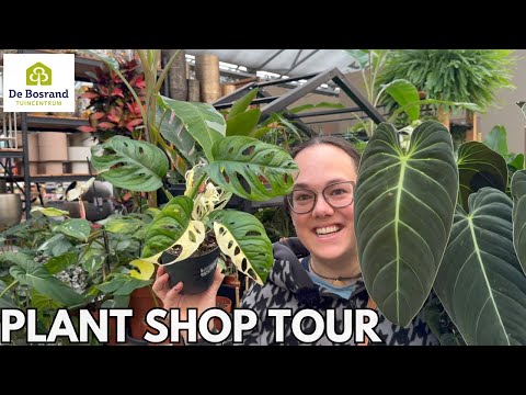 Fav Garden Center Tour: Bosrand Noordwijk | Plant with Roos