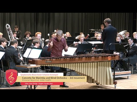 Concerto for Marimba and Wind Orchestra – 3rd movement   HD 1080p