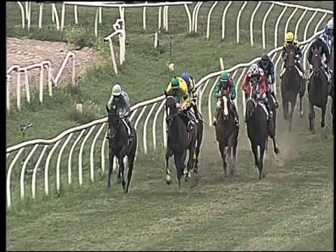 Galoppo 16/06/2015 - 6° corsa