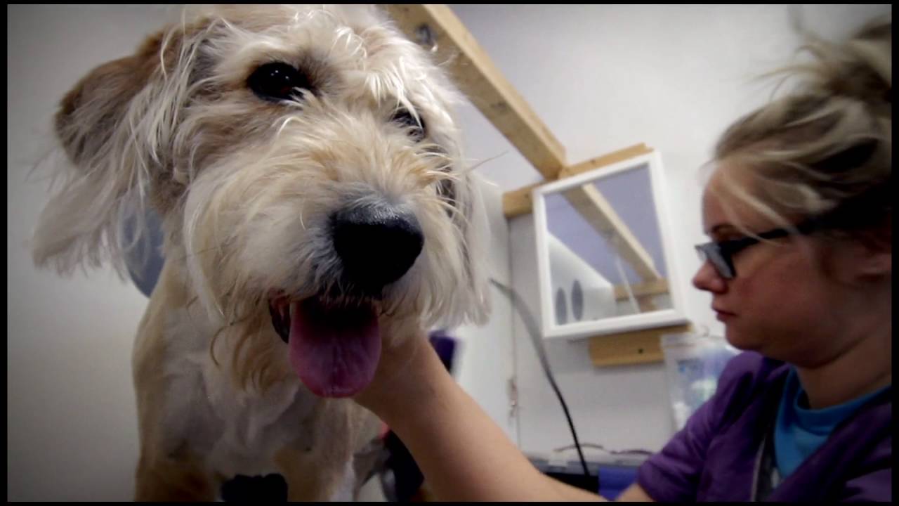 YouTube video thumbnail