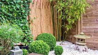 Asian Bamboo Garden Design Idea