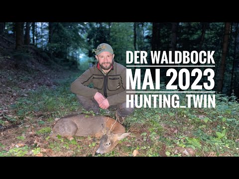 Der Waldbock / Roebuckhunting / Blackforest / hunting_twin