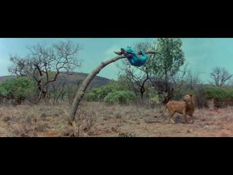 The Gods Must Be Crazy 1984 Movie funny Lion scene