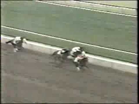 Horse Racing   Santa Anita Derby 1992 Santa Anita Park Arcadia California AP Indy