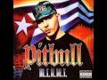 Pitbull - 305 Anthem (feat. Lil Jon) 