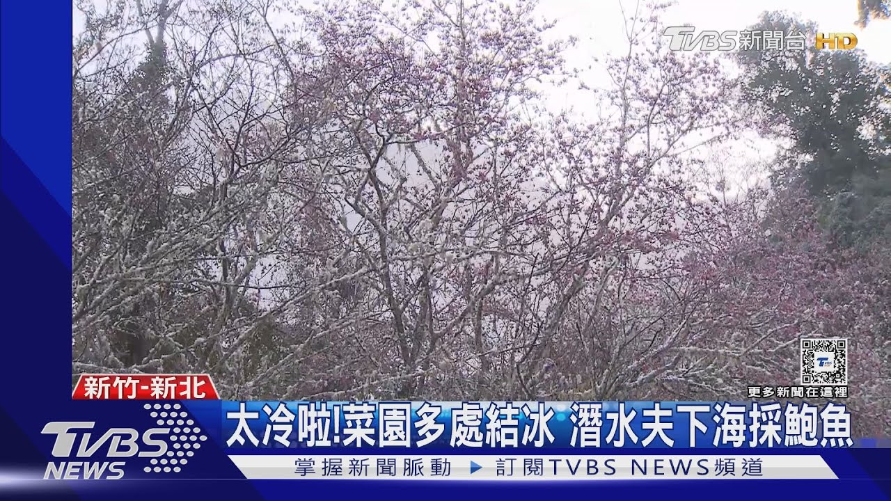 大雪紛飛!馬祖「雲台山」又下雪 民眾歡呼