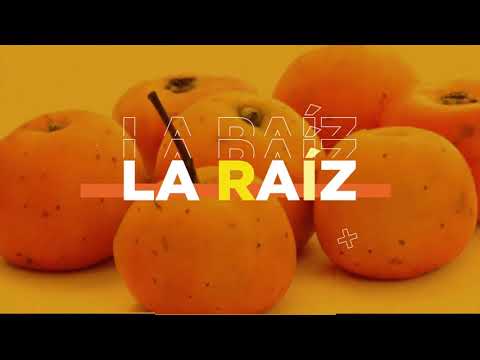 thumbnail video image 2 of Cápsulas de Raiz de Tejocote SiluetaYa 365, 2 of 3