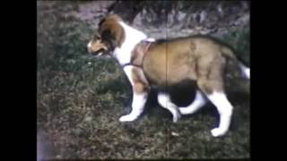 Seahaven - Highway Blues