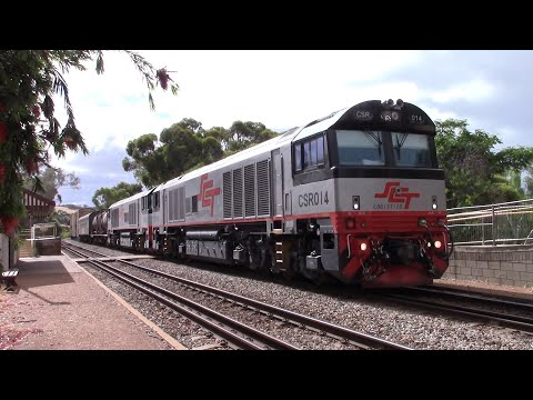 1MP2, 6PM9, 6SP5, 1304 & 4351 - December 2021-January 2022