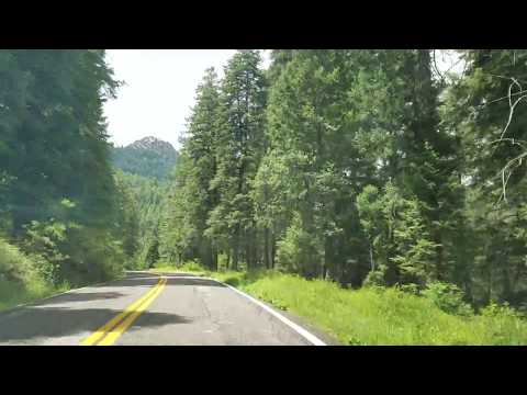 Mt. Graham, Coronado National Forest.   Graham County, Arizona.