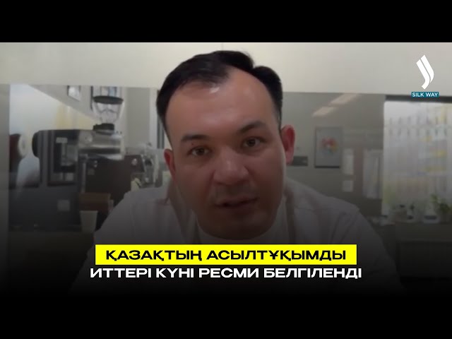 Қазақтың асылтұқымды иттері күні ресми белгіленді