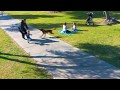Scenario training: Dog saves child from being kidnapped in nearby park