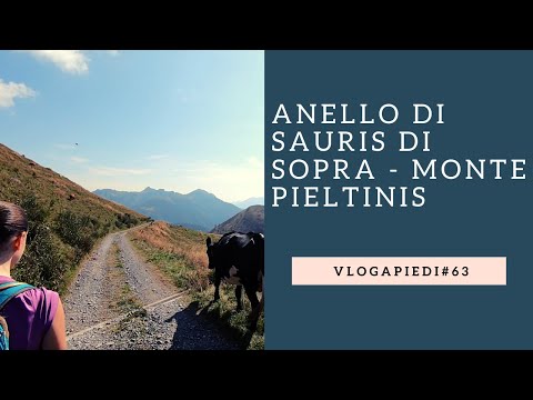 63. Carnia - Upper Sauris Ring - Mount Pieltinis