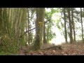 Wolfgang von Goethe-Gefunden 