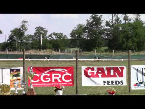 2014.07.06. CRF Czech Derby Consolation