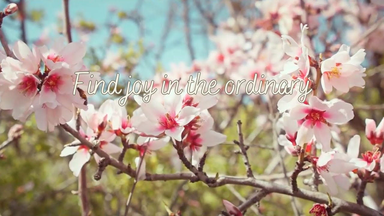 Find joy in the ordinary 🍀 stop overthinking, calm your anxiety - lofi hip hop mix - aesthetic lofi