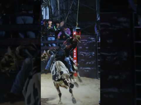 88,25 🔥 Rafael Wermond vs Cobiçado - Cia. Faroeste #rodeio #touros #ekiprozeta