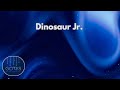 DINOSAUR JR. - Several Got Away