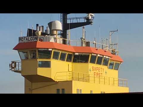 MC FALCON   @interislandtv9721