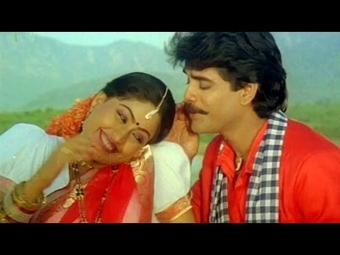Janaki Ramudu Songs - Chilaka Pachha Thotalo - Nagarjuna - Vijaya Shanthi