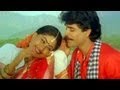 Janaki Ramudu Songs Chilaka Pachha Thotalo Nagarjuna Vijaya Shanthi