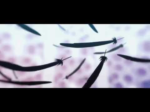 nAvvvi ッ - TRAKK 666