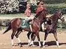 1992 Kentucky Derby winner