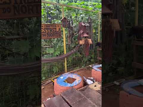 Comitiva Estrela do Norte 🌟 #comitiva #queimadoalho #tradição