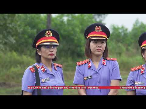 Hồ sơ Công tố - Kiểm sát
