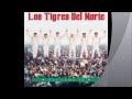 Los Tigres Del Norte Enseñarte a Respetar