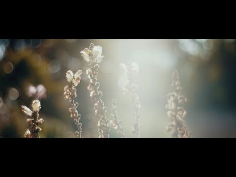 AFTERMOVIE OFICIAL PICHILEMU SURFESTIVAL 2020