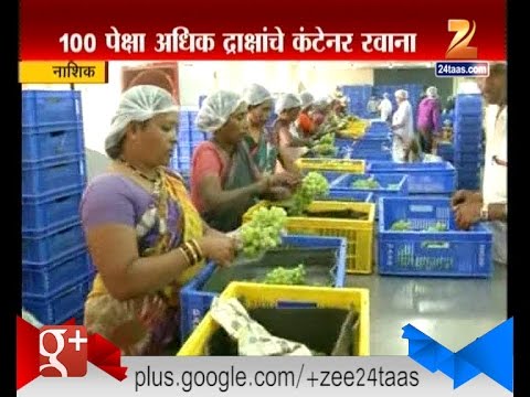 download lagu mp3 mp4 Grapes Exporters In Nashik, download lagu Grapes Exporters In Nashik gratis, unduh video klip Grapes Exporters In Nashik