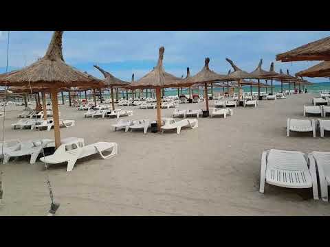 LIPTON PLAJA VENUS 2020