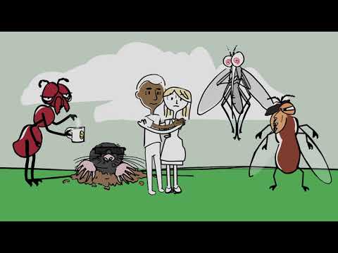 Tell pests to bug off