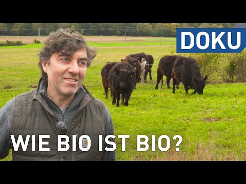 Wie bio ist Bio? | doku | hessenreporter