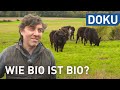 Wie Bio Ist Bio Doku Hessenreporter