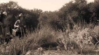 Unnatural Histories Serengeti and the Rich Vile-Selfish Elite