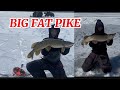 Video Thumbnail for Catching early spring BIG PIKE with friends