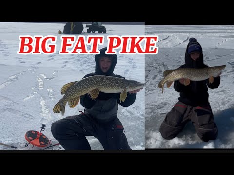 Catching early spring BIG PIKE with friends
