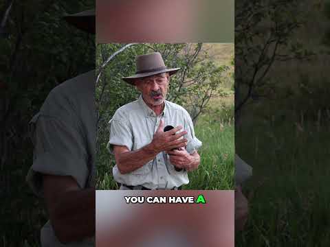 SCOPE MYTHS: BIGGER Objective Lens makes it Brighter?