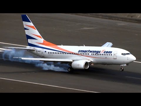 Incredible Landings at Madeira Airport Runway 23! Pilots Master Windy Conditions 🛬