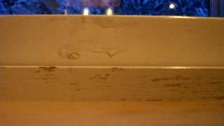 Shorline cover av Amanda och Michael orginal av Broder Daniel