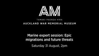 preview picture of video 'Marine expert session: Epic migrations and future threats'