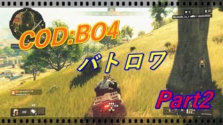 【ブラックアウト】バトロワ初心者が1位を目指して！Part2 【COD:BO4】