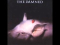 The Damned - Life Goes On