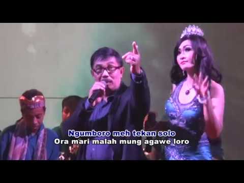 Aku Kudu Piye – Kang Herry Ft. Citra Icikiwir - Om. New Citra Nada | Dangdut [OFFICIAL]