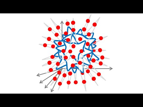 AMMI Course "Geometric Deep Learning" - Lecture 2 (Learning in High Dimensions) - Joan Bruna