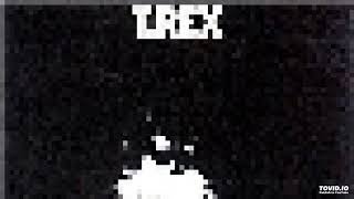 T REX, DANDY IN THE UNDERWORLD